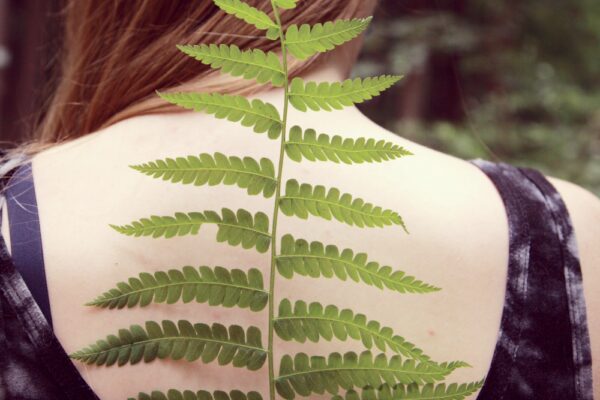 physiotherapy, massage therapy, registered dietitian and chiropractic services in Ottawa, Canada