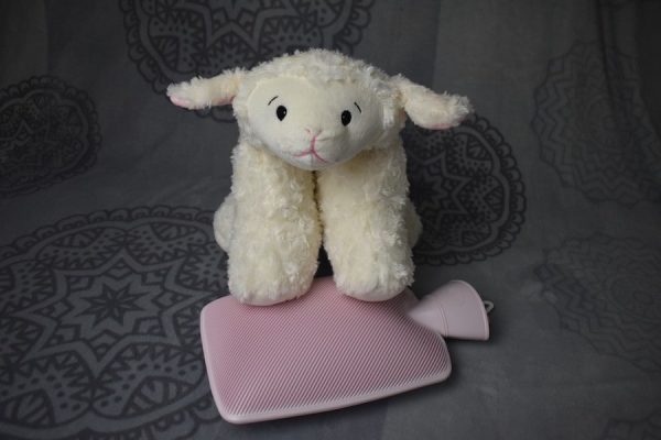 Stuffed animal lamb sitting on a hot water bottle